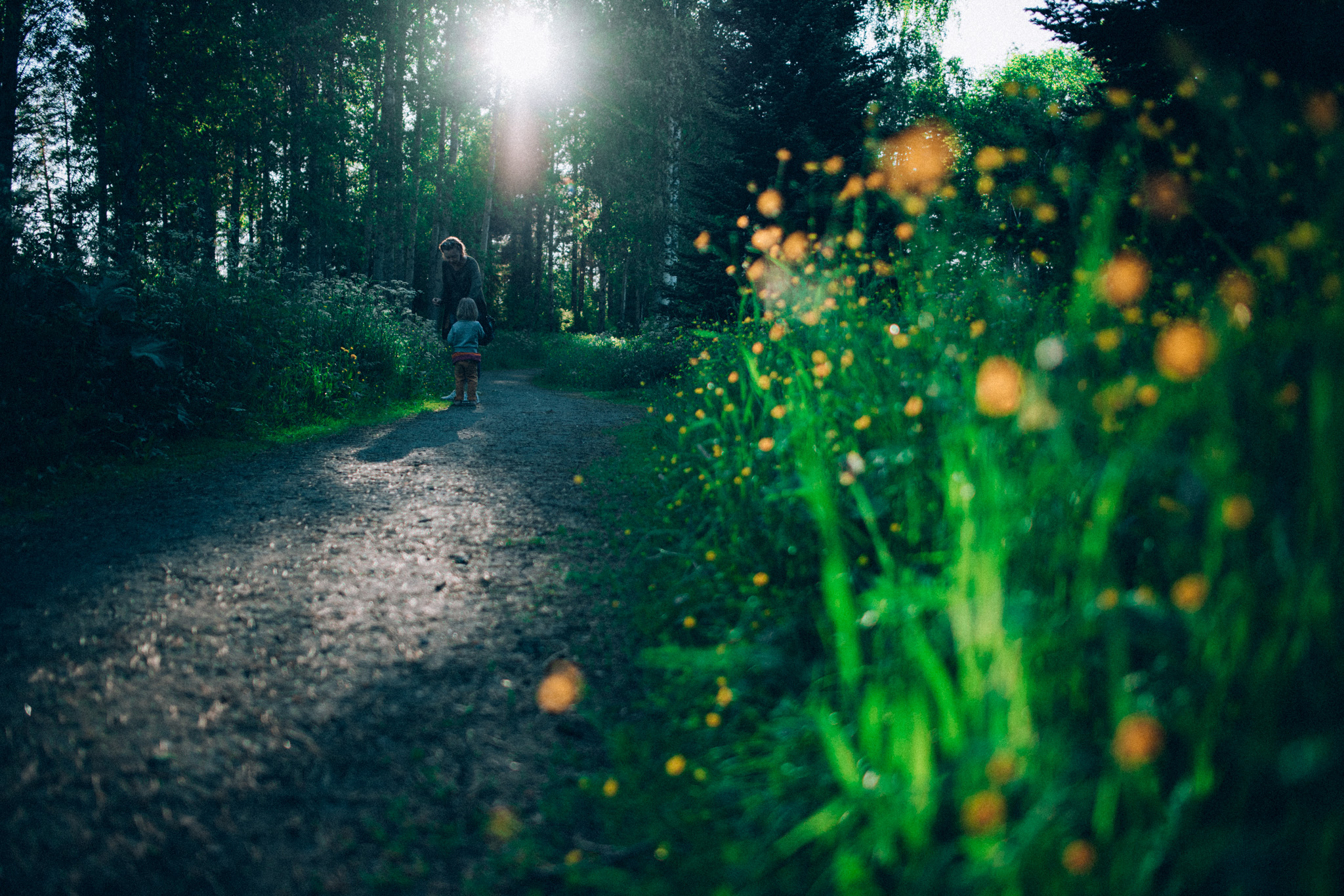 2017-07-01-Malfarben-Allee-Pusteblume-66_LR edited_web.jpg