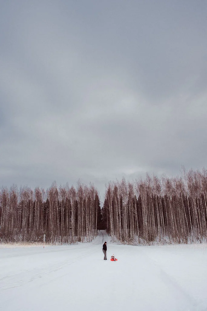 2018-02-25 - drivingonfrozenlake - trees - yellow -3_LR edited_web.jpg