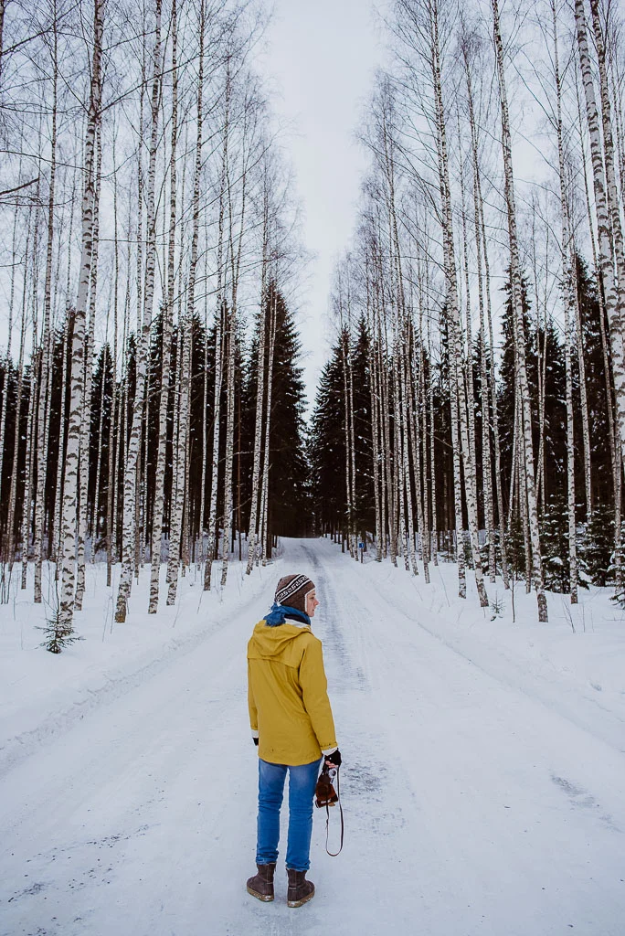 2018-02-25 - drivingonfrozenlake - trees - yellow -56_LR edited_web.jpg