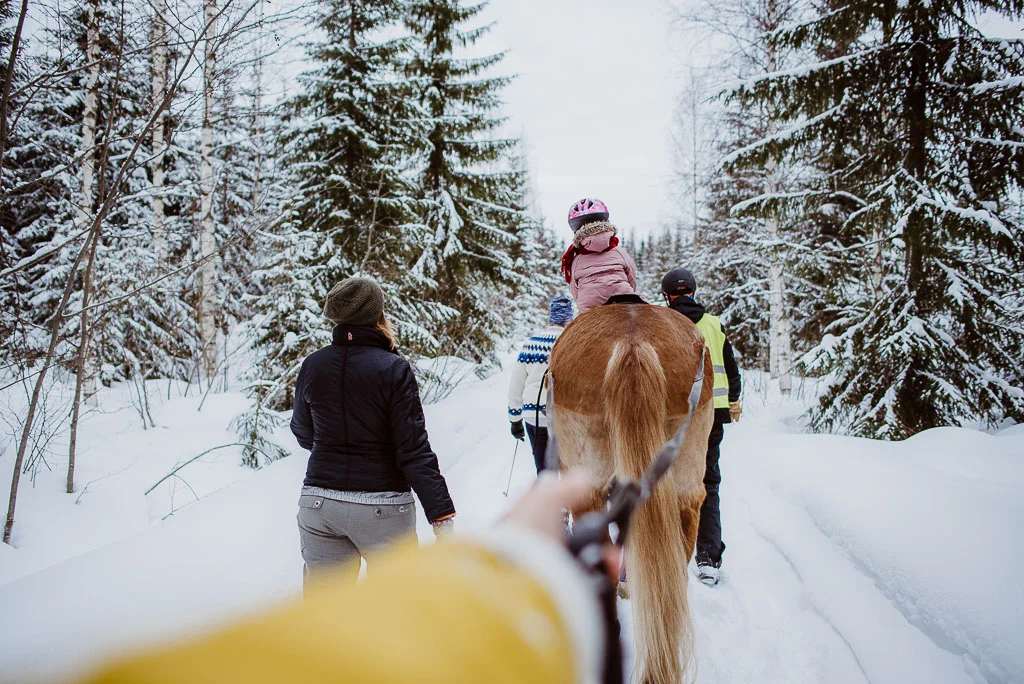 2018-03-24-horse-skiing-19_LR edited_web.jpg