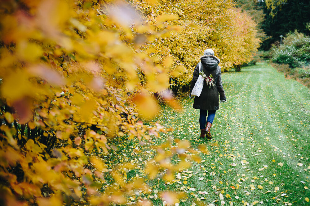 2019-10-05-Herbst-Fall-Finland-130-Edit_LR edited_web.jpg