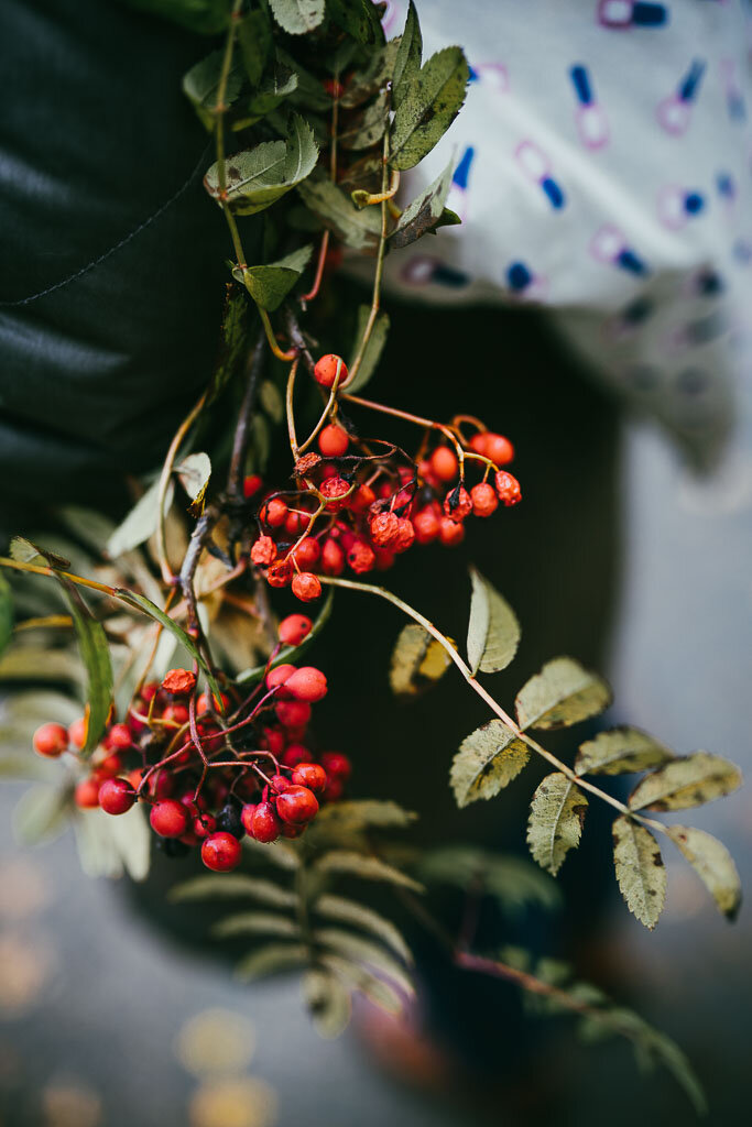 2019-10-05-Herbst-Fall-Finland-97_LR edited_web.jpg