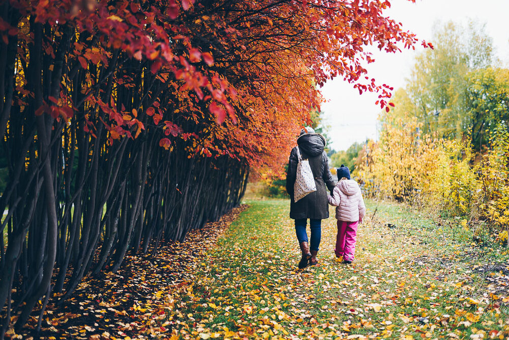 2019-10-05-Herbst-Fall-Finland-44-Edit_LR edited_web.jpg