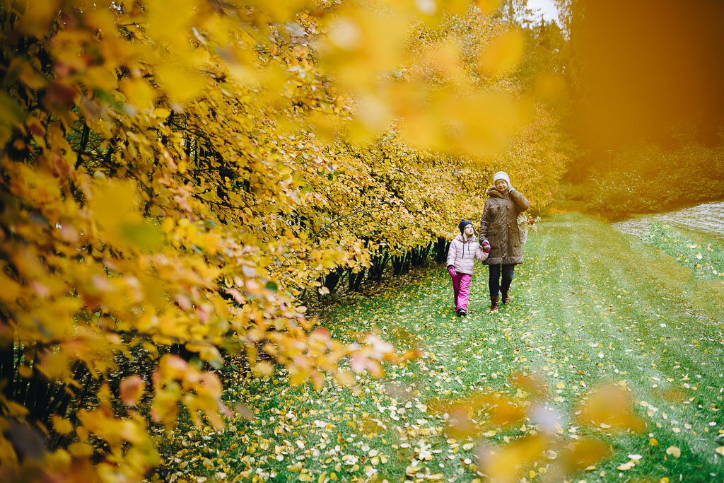 2019-10-05-Herbst-Fall-Finland-139-Edit_LR edited_web.jpg