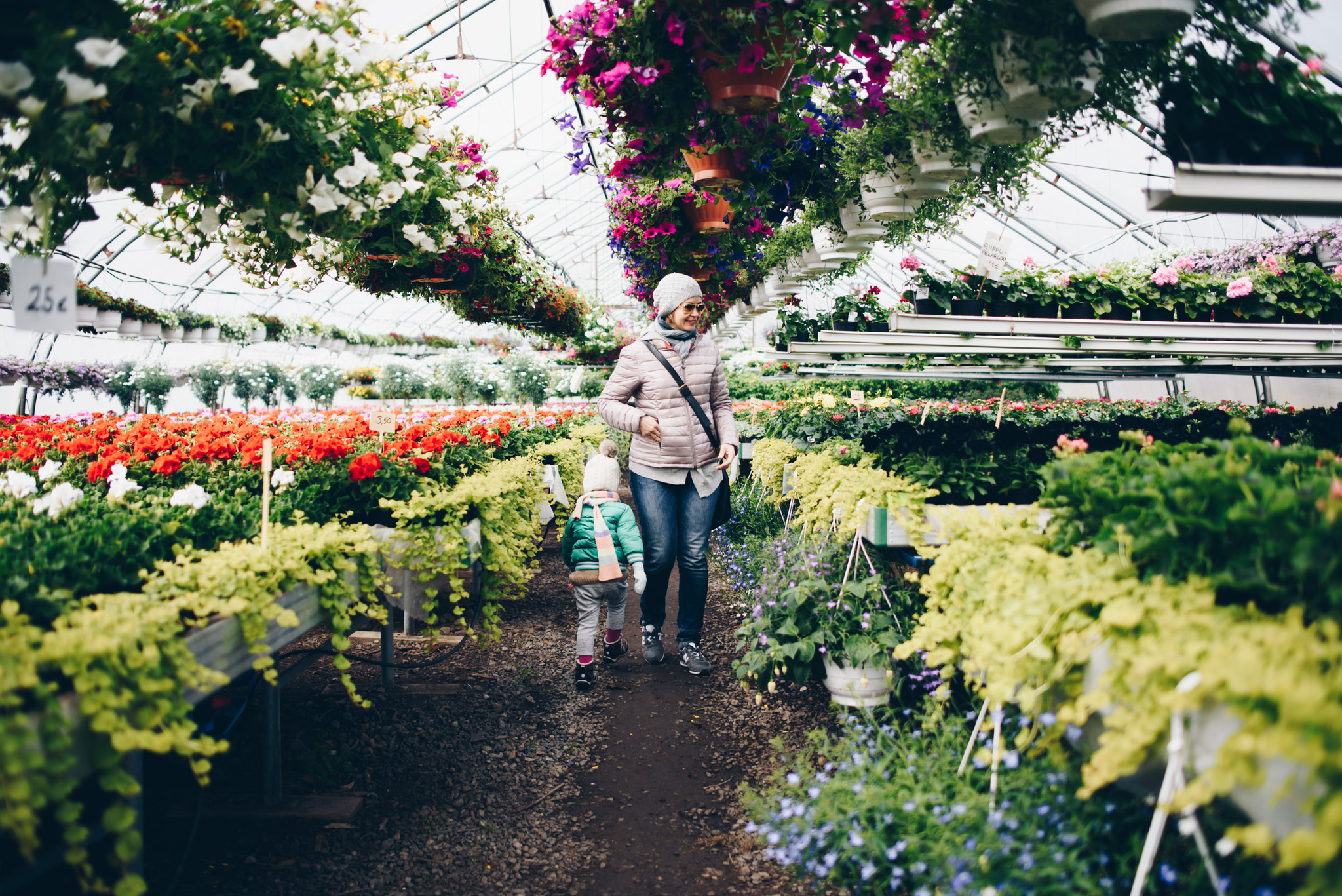 2017-05-14-Glashause-Blumen-17_LR edited_web.jpg
