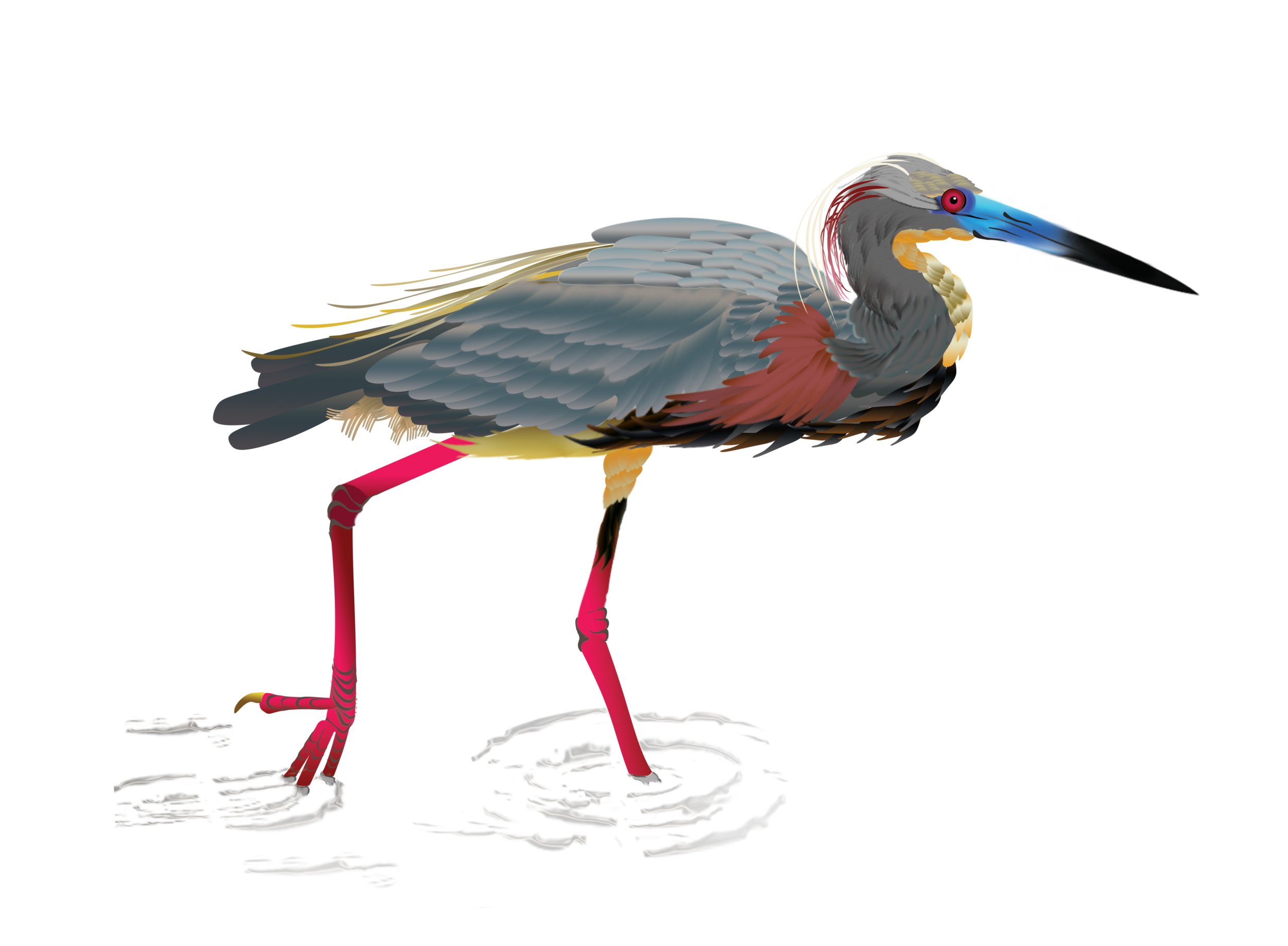 final-heron.png