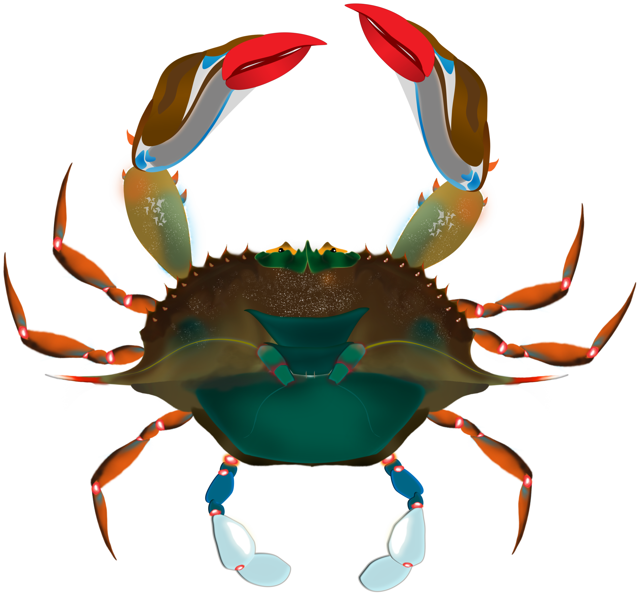 crab crop.png