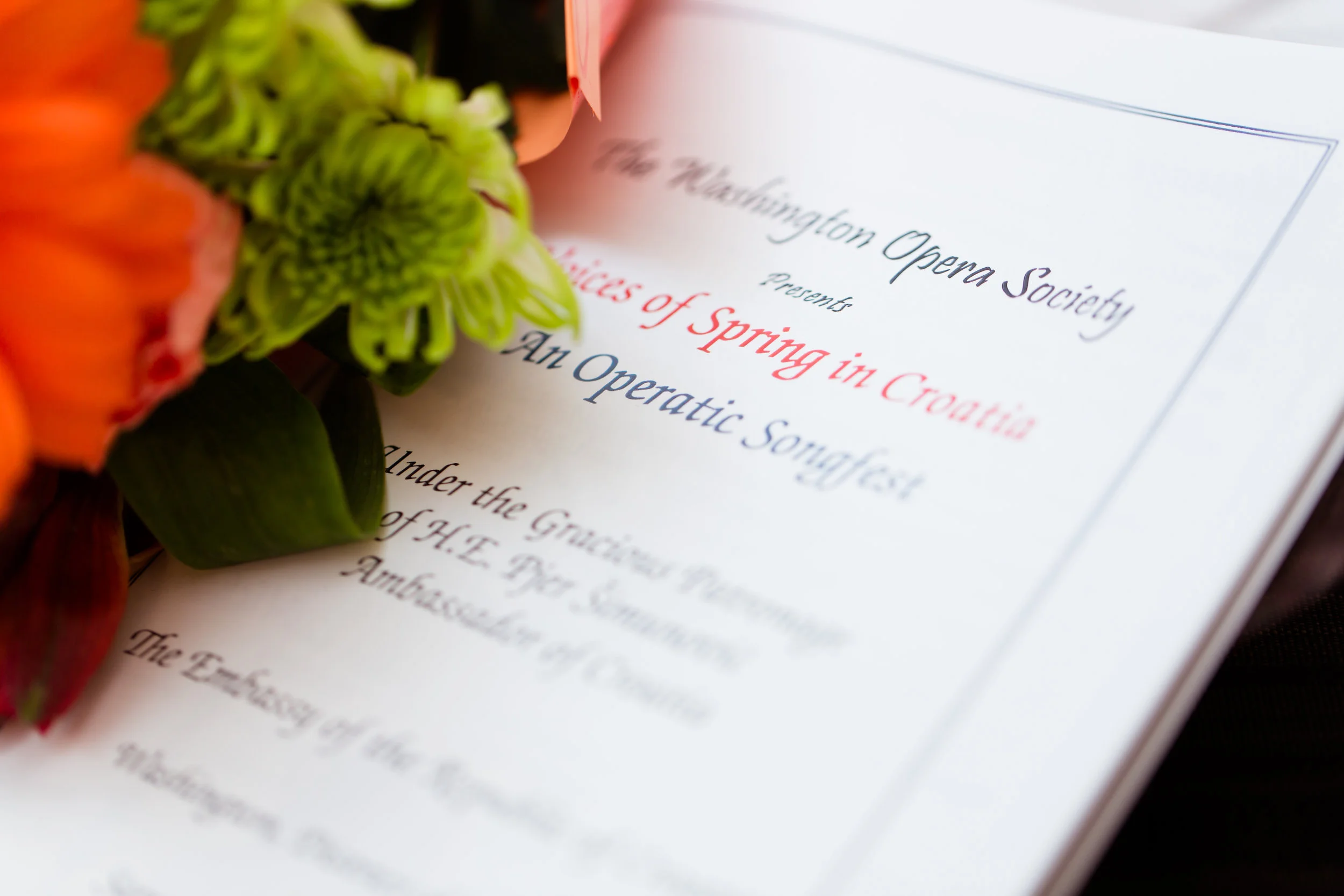 Washington Opera Society-69.jpg