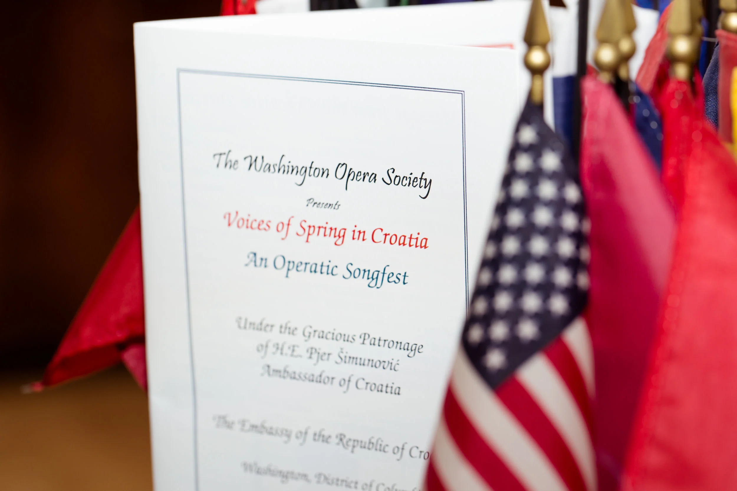 Washington Opera Society-77.jpg
