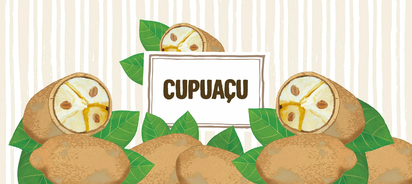 Cupuaçu.jpg