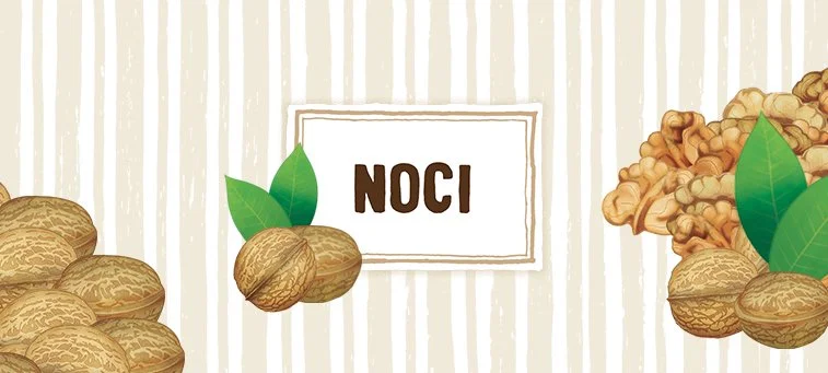 NOCI