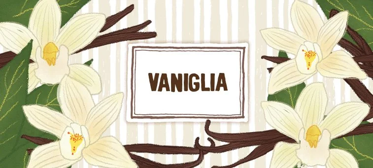 VANIGLIA