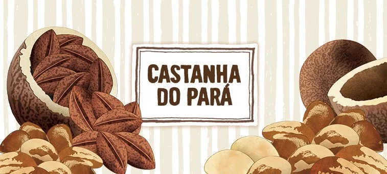 CASTANHA DO PARÁ (BRAZIL NUT) con Stevia