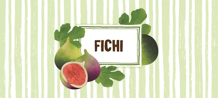 FICHI