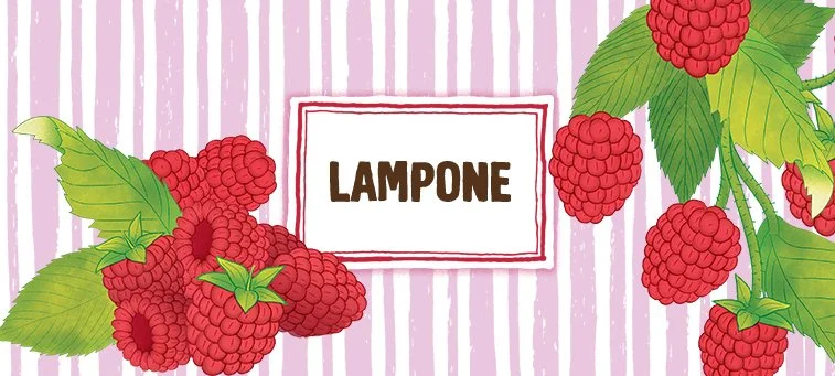 LAMPONE