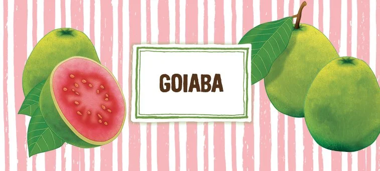 GOIABA (GUAVA) with Stevia