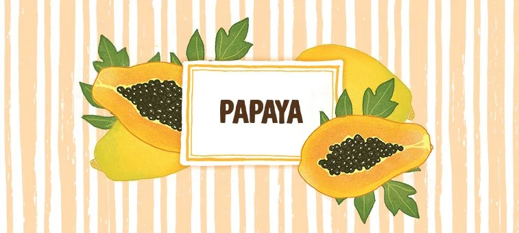 PAPAYA Stevia