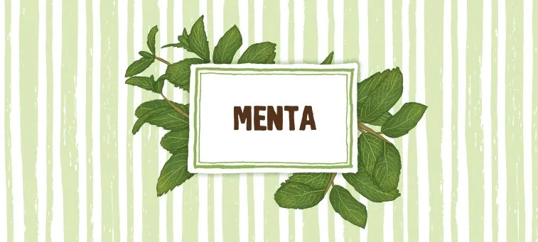 MENTA (PEPPERMINT)