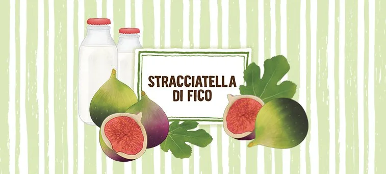 STRACCIATELLA DI FICO