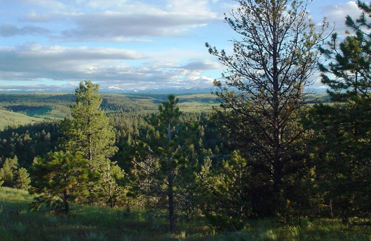2005-07 - View of the mountains from the Garage.jpg
