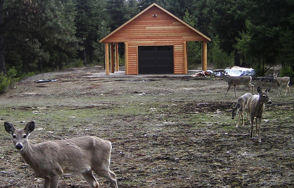 2016-03-31 - 5 Deer on SR2 Build Site