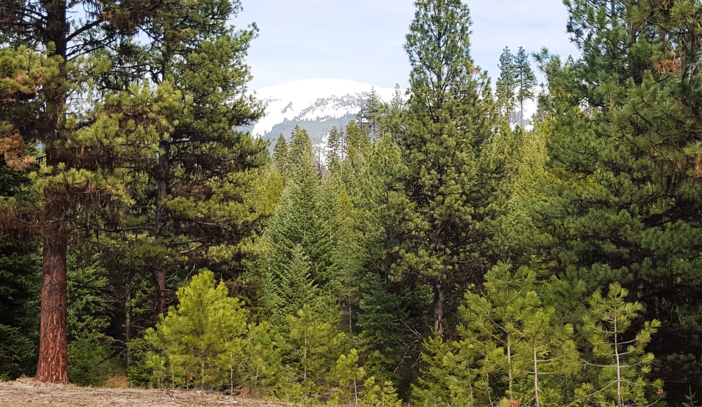 2016-03-30 - Mount Baldy as seen from SR 2.0 Build Spot