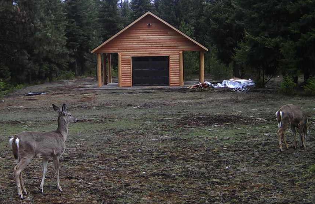 2016-04-04 - 2 Deer on SR 2.0 Build Spot