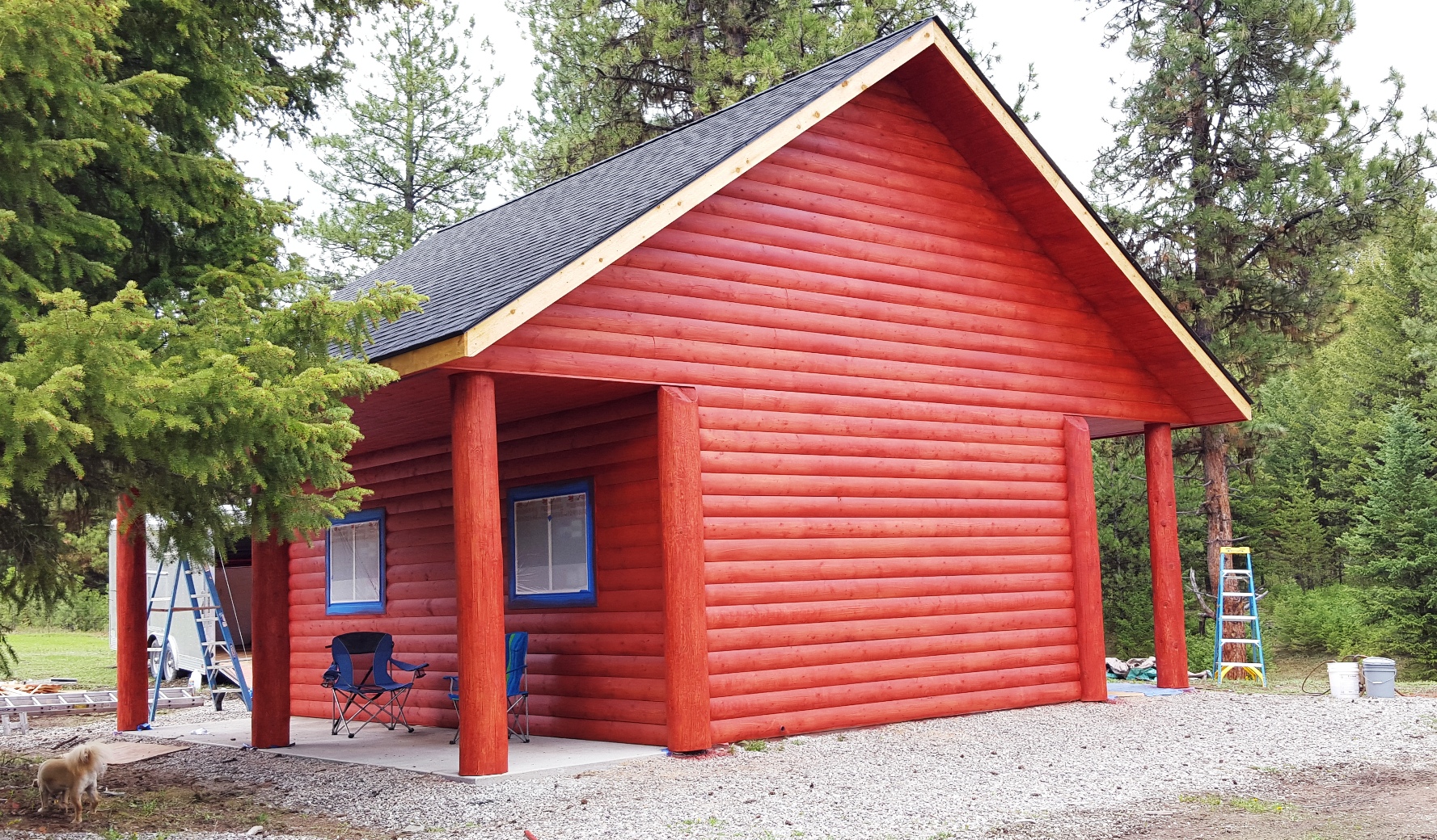 2016-04-25 - Newly Stained Garden Shed at SR2 and Puppy Montana