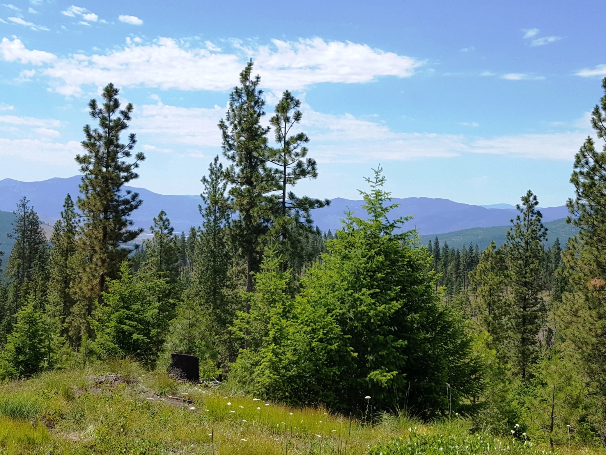 2016-06-23 - SR2.2 Build Spot View looking South.jpg