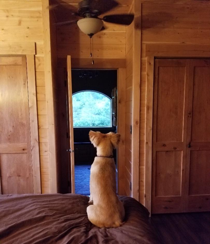 2018-07-13 Montana on the watch at SR2.jpg