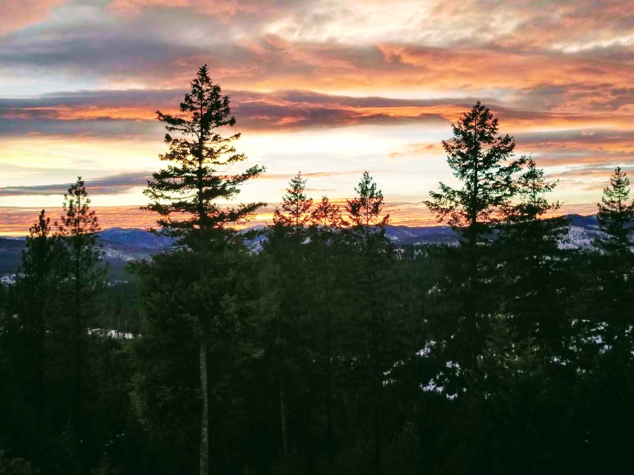 2019-01-30 Great sunset at SR2.jpg