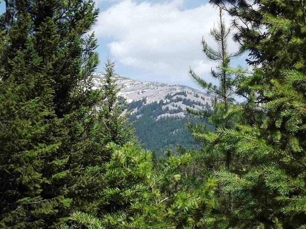 2014-06-01 Views of Mountains from SR2 #2.jpg