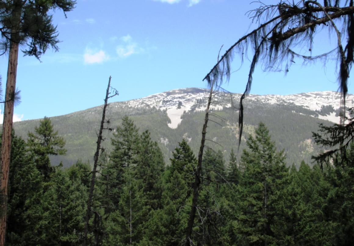 2015-05-01 - View of Mt Baldy.jpg