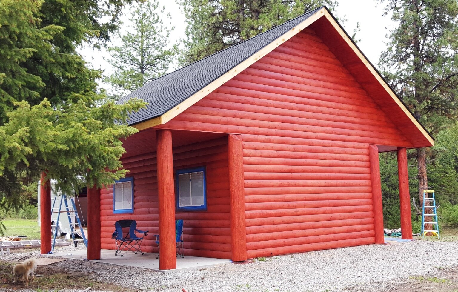 2016-04-25 - Newly Stained Garden Shed at SR2 and Puppy Montana.jpg