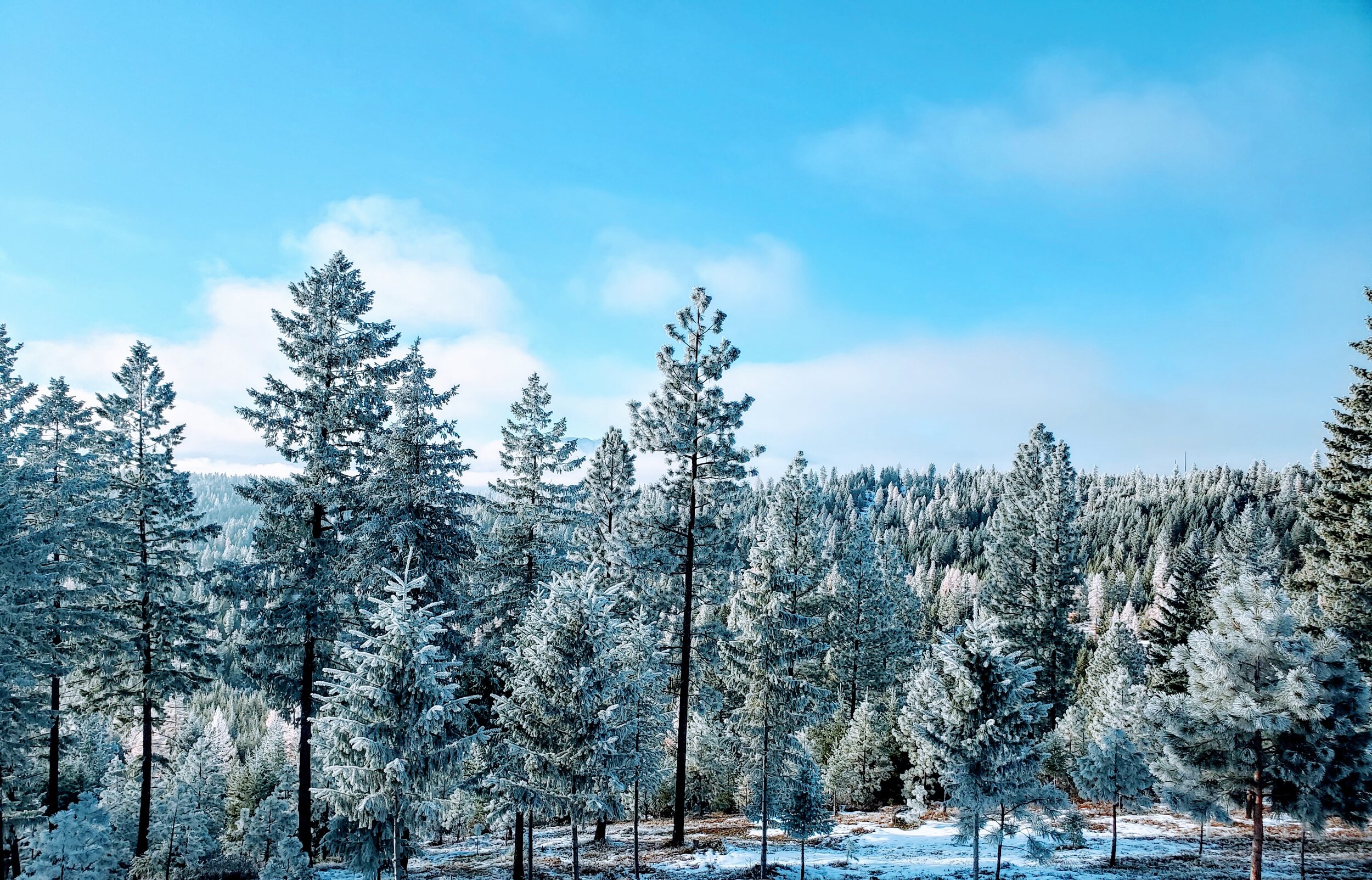 2020-12-06 Winter Wonderland at the Seiver Ranch Montana [DSS].jpg