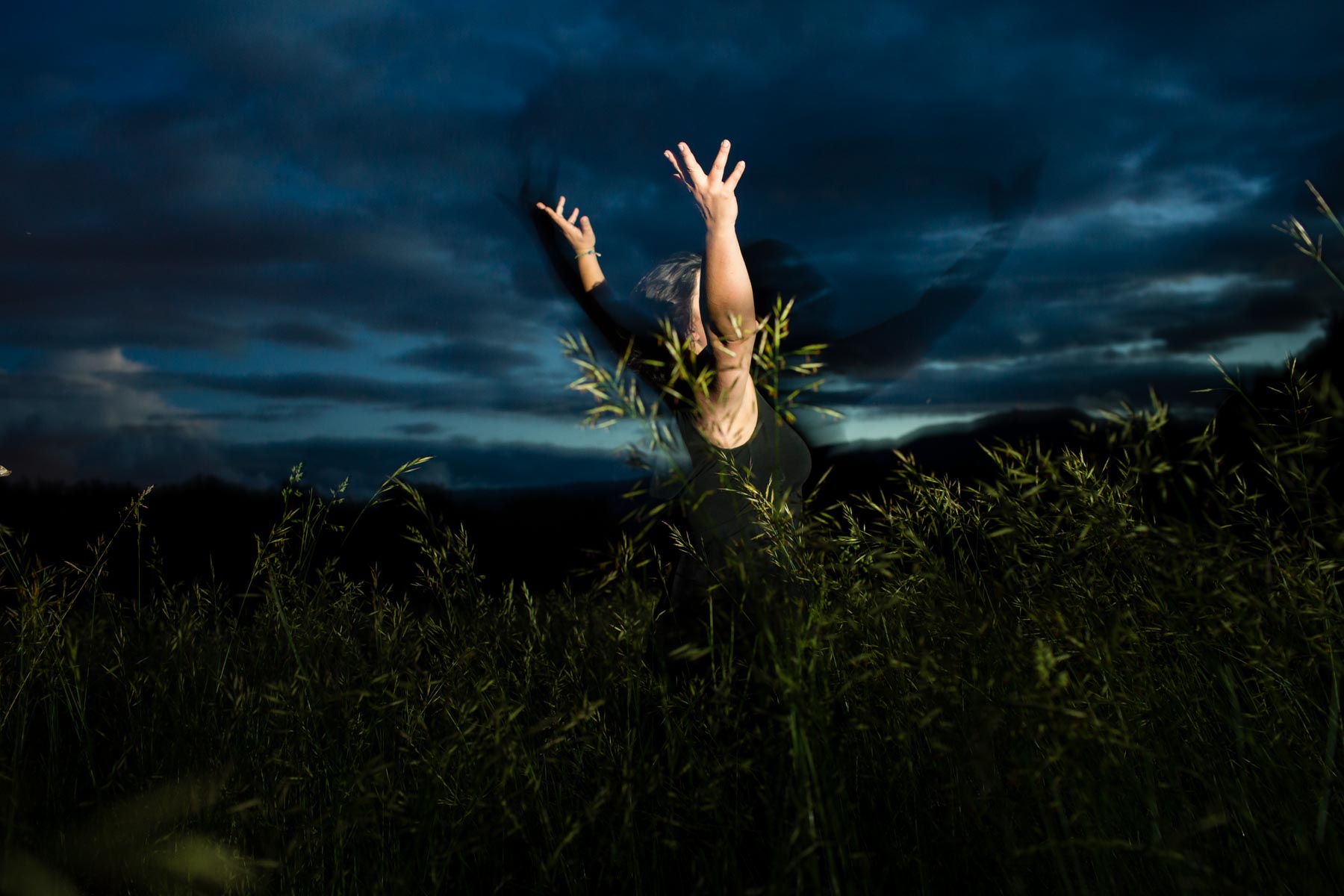 Following the Song of the Wild.jpg
