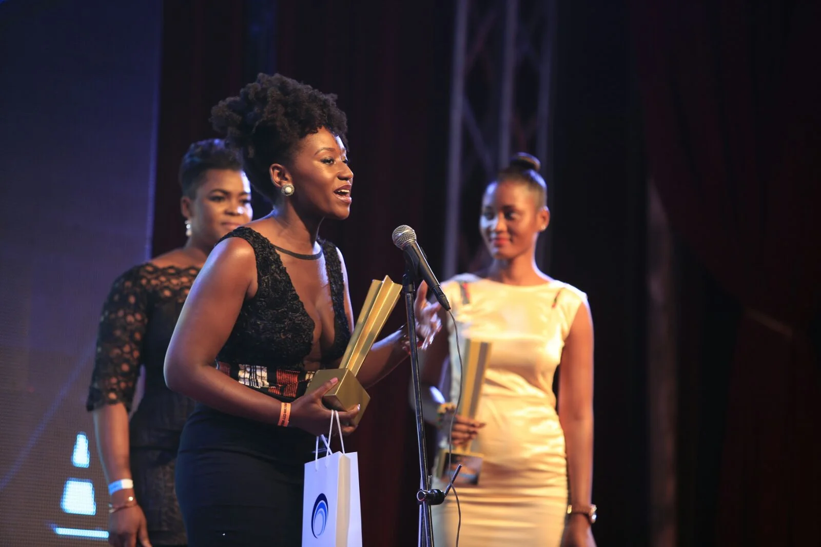 2015 Golden Movie Award