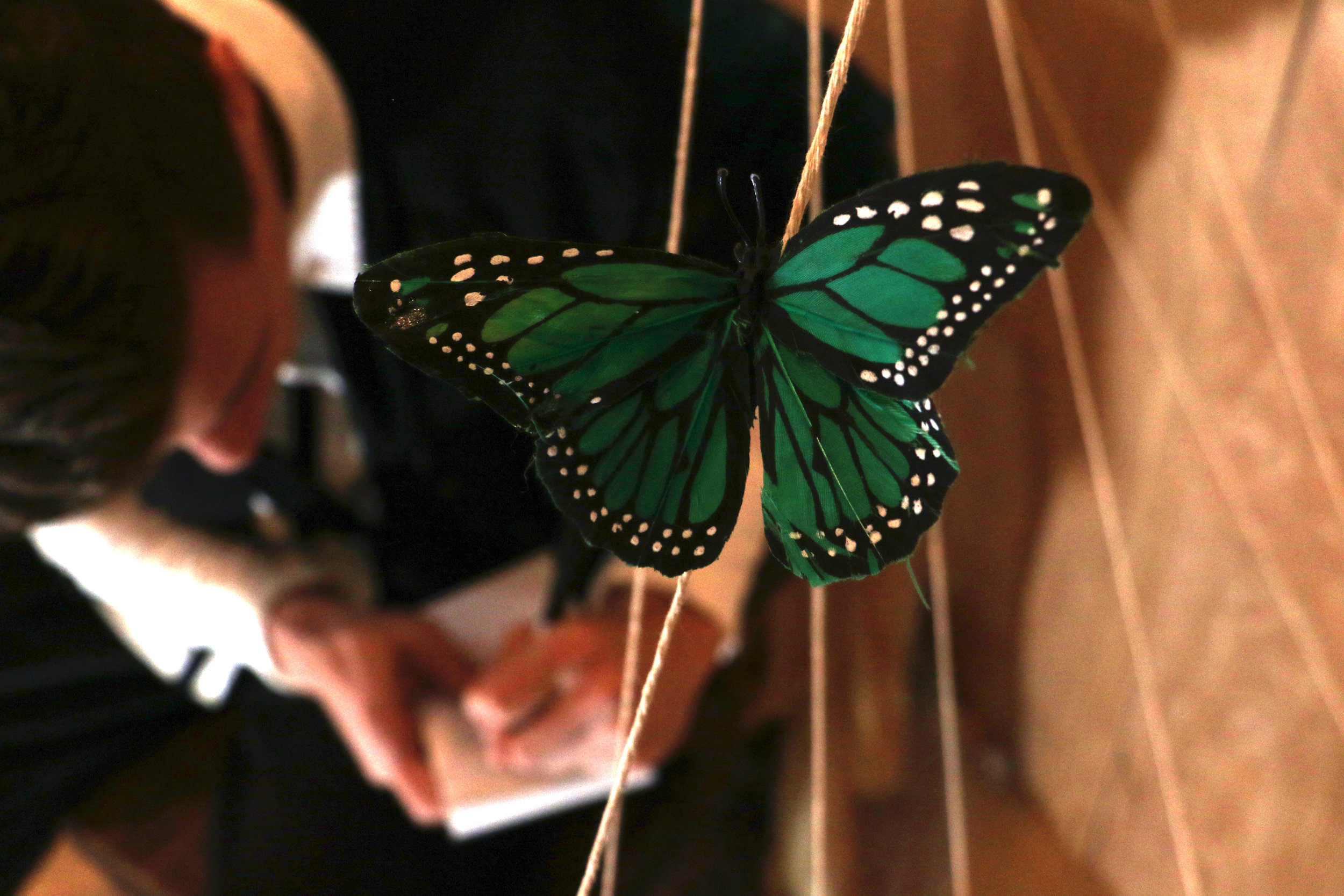 Butterfly.JPG