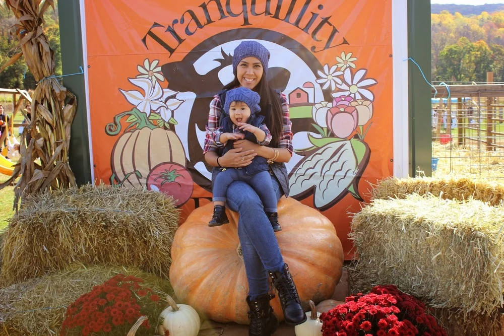 Pumpkin Picking round 2