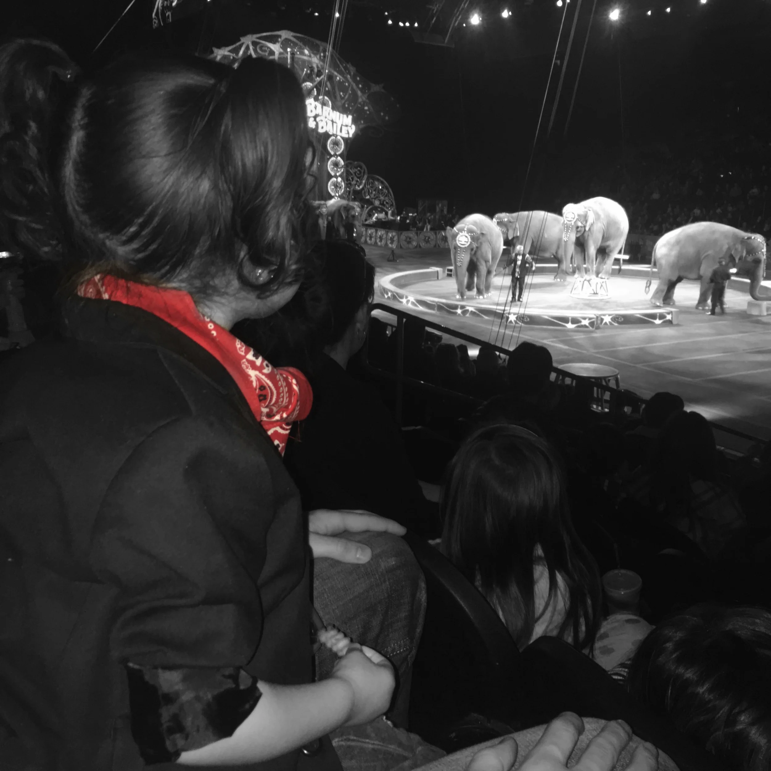 Our First and Last Trip To The Circus