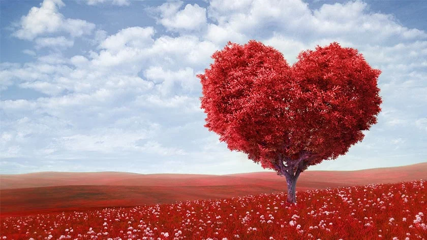 Valentine's Day Gift Guide 