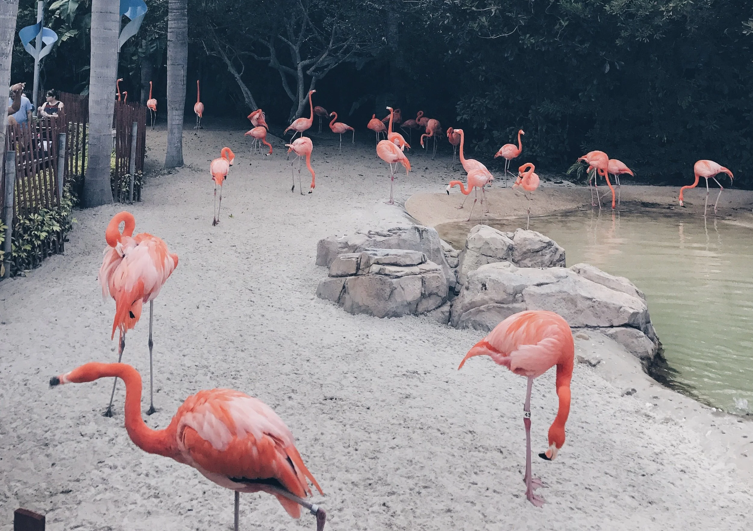 Fun Vacation In Florida