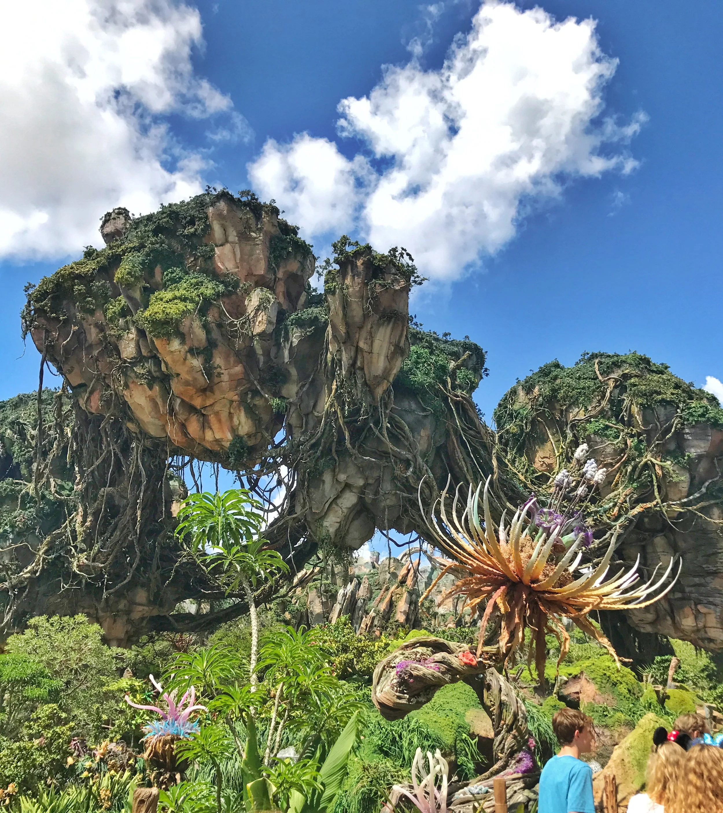 Disney's Pandora The World Of Avatar