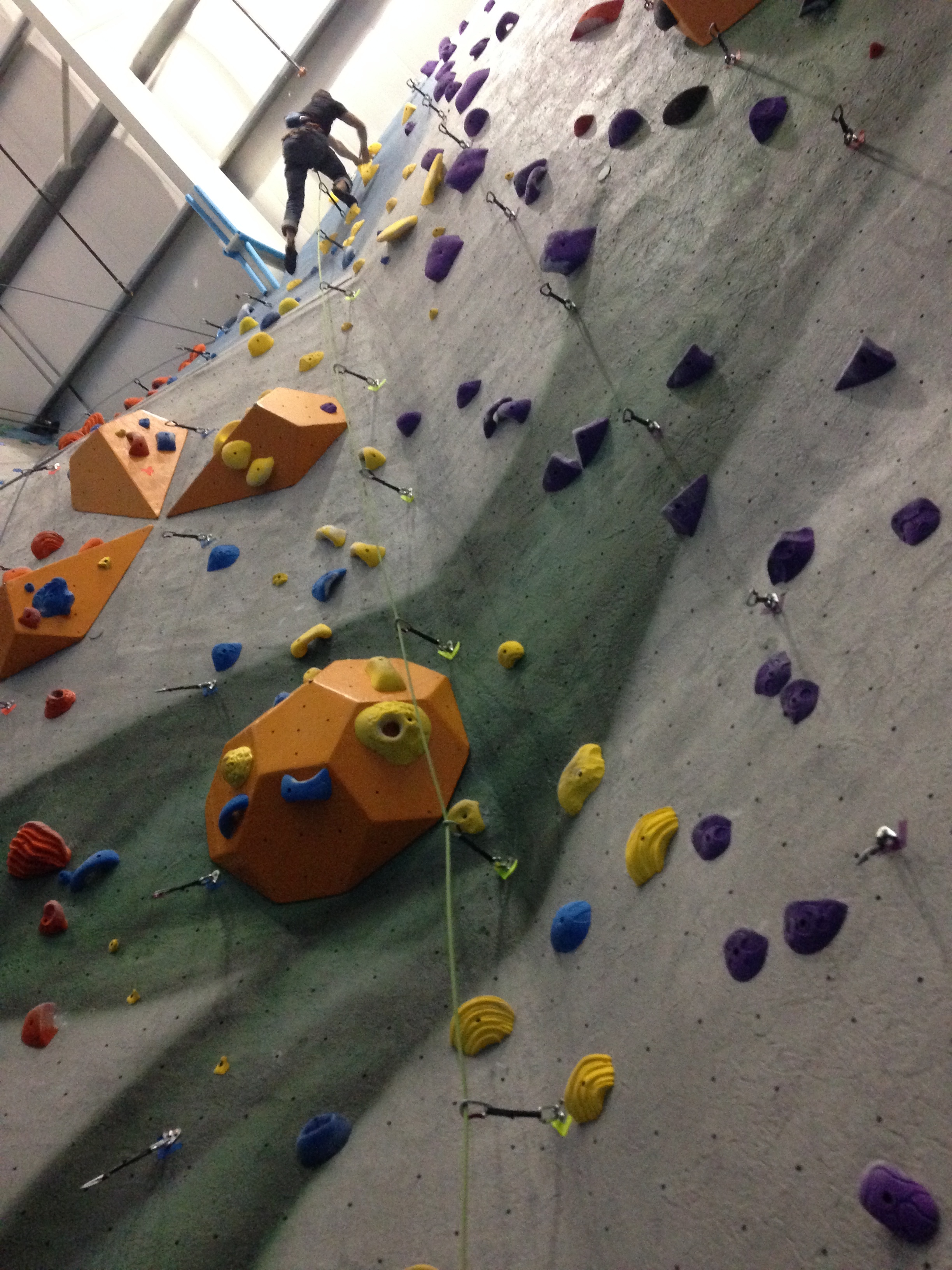 CWI + Lead Climbing Instructor