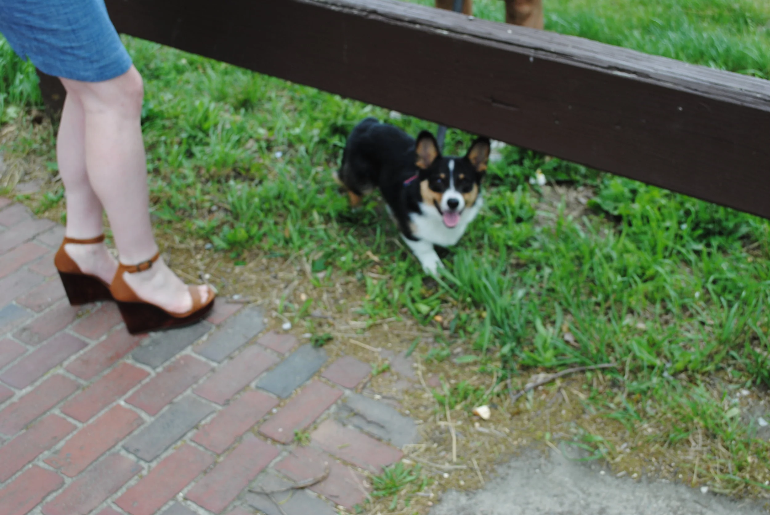 THIS ONE IS A LITTLE BLURRY, BUT IT WAS TOO CUTE NOT TO POST!!