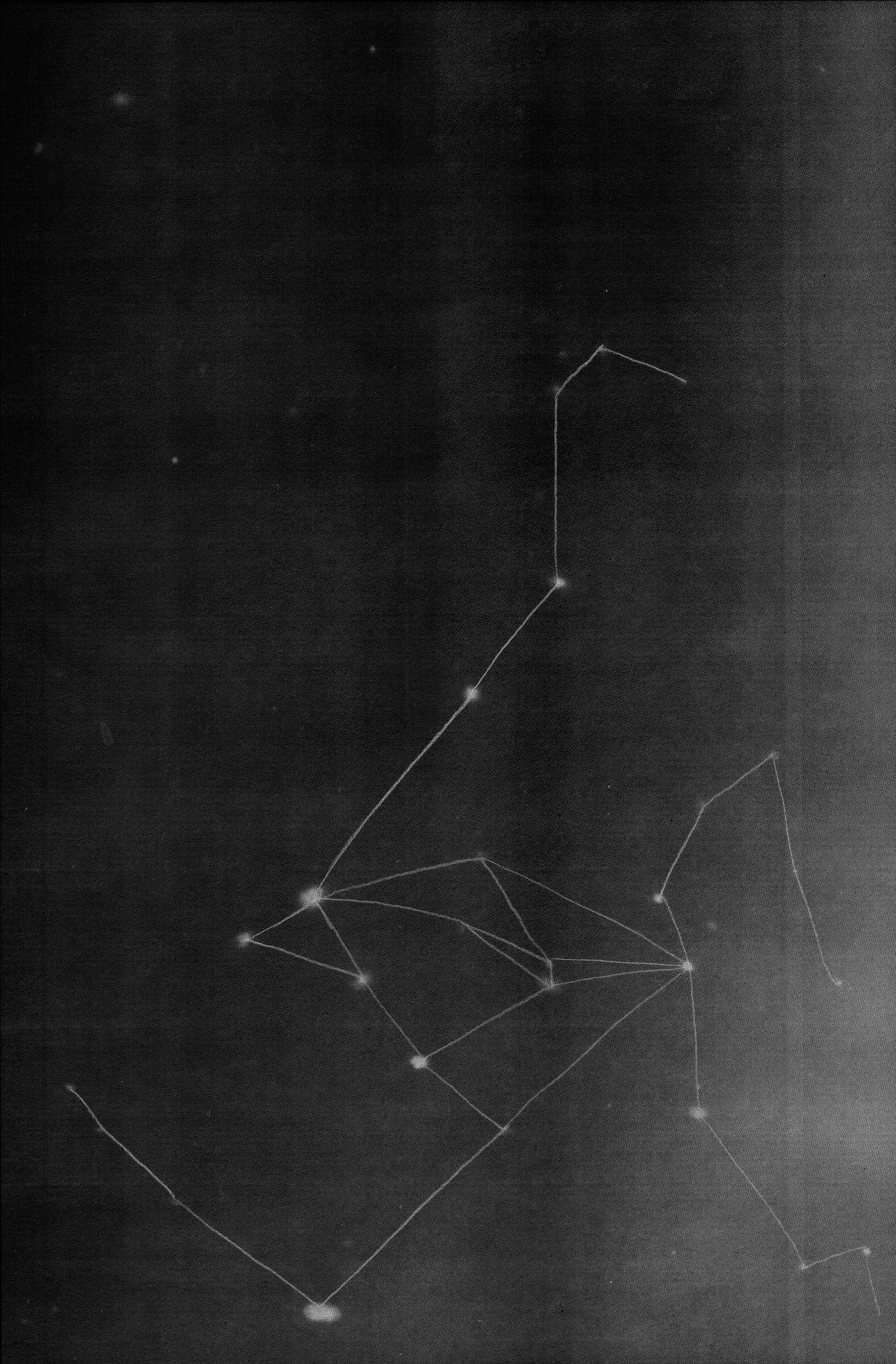 Constellations_AriadnaJunyent2.jpg
