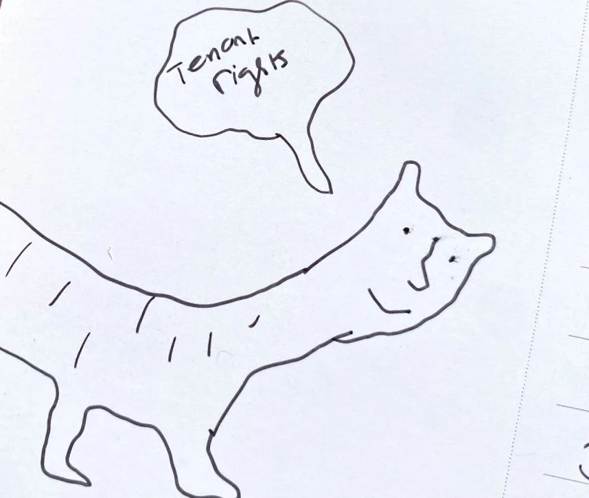 Sketches  on postcards for a tenant rights campaign in New York 2020
