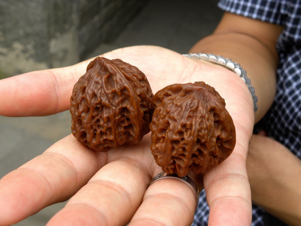 Petrified walnuts for finger agility