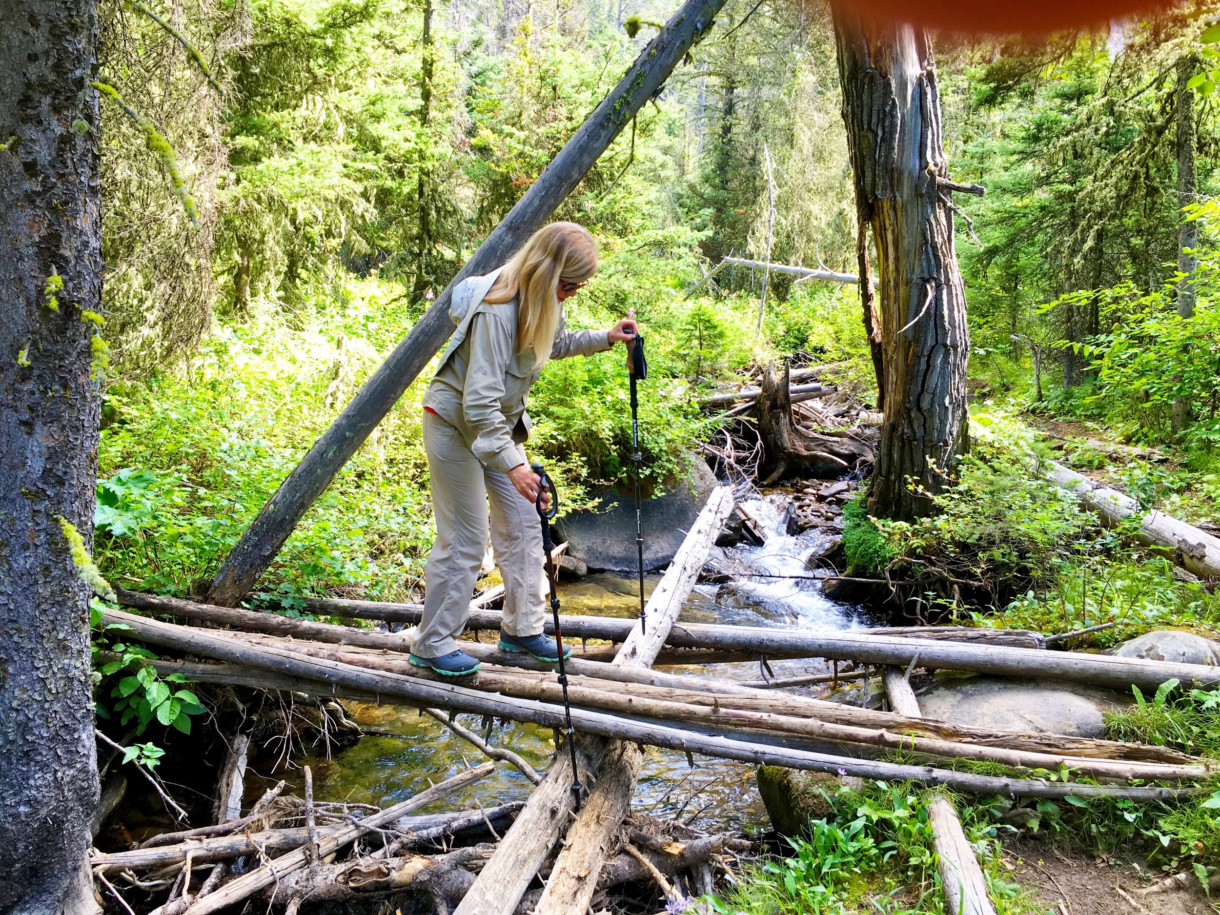 The waterfall at the end of the North Cottonwood Trail was our reward. A 2-hour hike in, and 2-hour hike out. Gorgeous. Well worth the trek and the balance beam work!