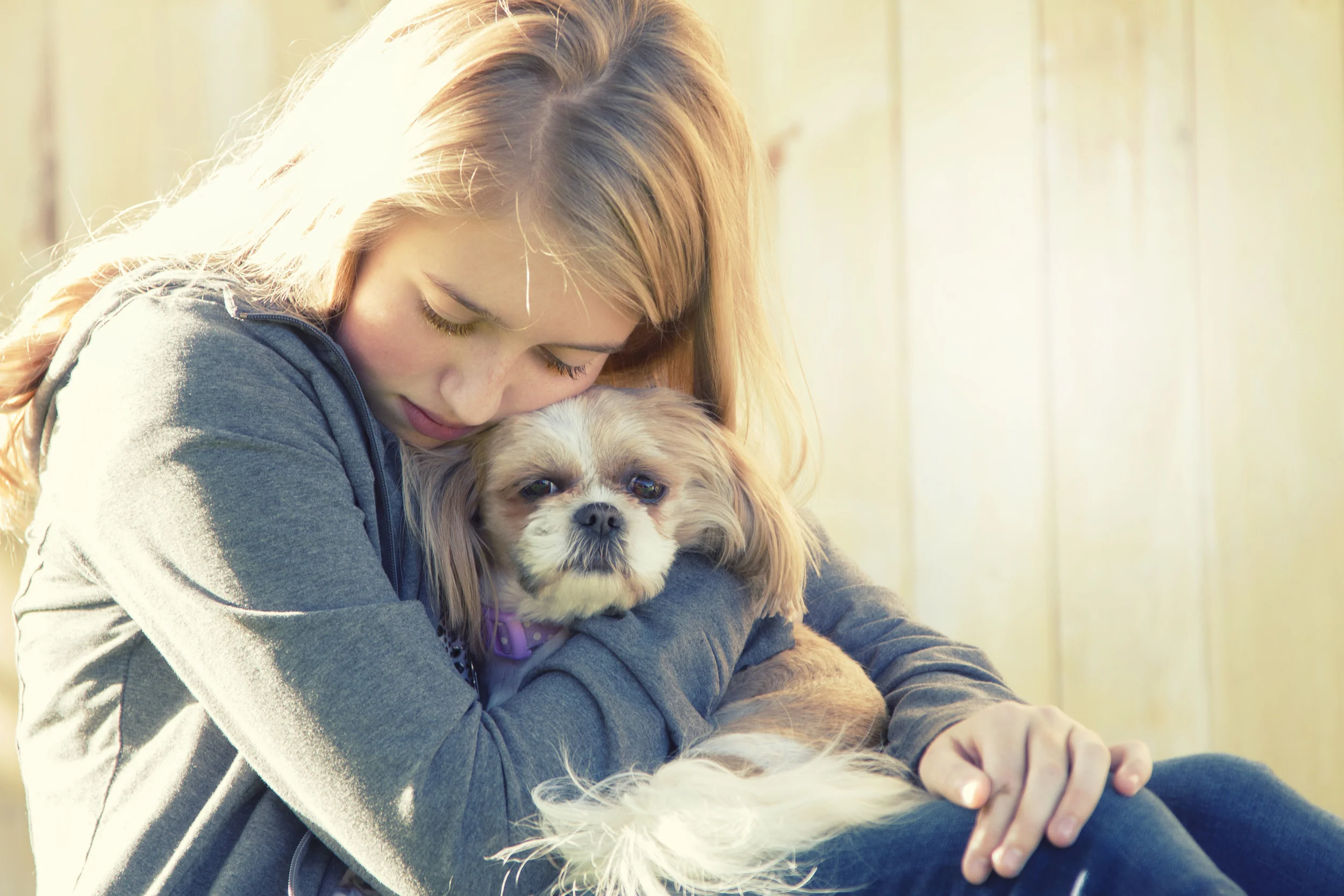 ways-to-give-k-9-lifesavers